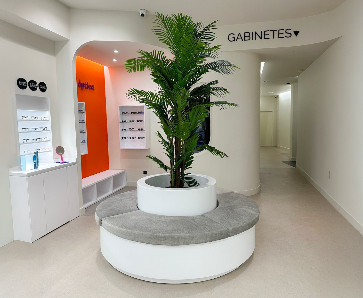 imagen las palmas óptica 1